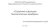 Строение и функции биологических мембран