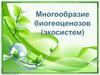 Многообразие биогеоценозов