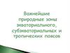Природные зоны экваториального, субэкваториального и тропических поясов