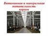 Витаминная и минеральная питательность кормов