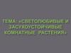 Светолюбивые и засухоустойчивые комнатные растения