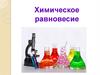 Химическое равновесие