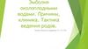 Эмболия околоплодными водами. Причины, клиника. Тактика ведения родов