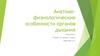 Анатомо-физиологические особенности органов дыхания