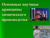 Научные принципы химического производства