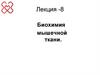 Биохимия мышечной ткани