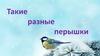 Такие разные перышки