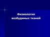 Физиология возбудимых тканей