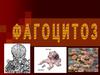 Фагоцитоз