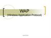 WAP (Wireless Application Protocol)