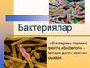 Бактериялар