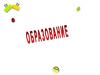 Образование