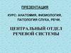 Центральный отдел речевой системы