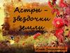 Астры -звездочки земли