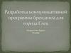 Разработка коммуникативной программы брендинга для города Елец