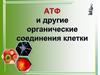 АТФ и другие органические соединения клетки