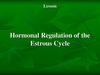 Hormonal Regulation of the Estrous Cycle