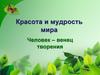 Красота и мудрость мира. Человек – венец творения