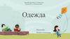 Одежда