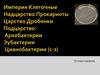 Империя Клеточные. Надцарство Прокариоты. Царство Дробянки. Подцарство: архебактерии, эубактерии, цианобактерии (с-з)