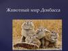 Животный мир Донбасса