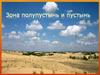 Зона полупустынь и пустынь