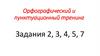 Орфографический и пунктуационный тренинг