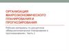 «Макроэкономическое планирование и прогнозирование». Часть 2
