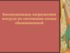 Биоиндикация загрязнения воздуха по состоянию сосны обыкновенной