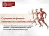 Строение и физико-химические свойства белков. Тема 2