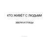 Кто живёт с людьми. Звери и птицы