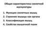 Характеристика скелетной мускулатуры животных