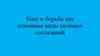 Бокс и борьба как основные виды силовых состязаний