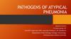 Pathogens of atypical pneumonia