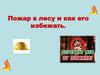 Пожар в лесу и как его избежать