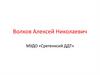 Волков Алексей, визитка