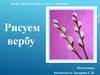 Рисуем вербу