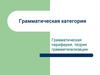Грамматическая категория