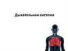 Дыхательная система