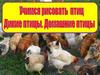 Делаем композицию с дикими и домашними птицами (7 класс)