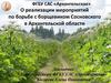 О реализации мероприятий по борьбе с борщевиком Сосновского в Архангельской области