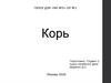 Корь