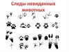 Следы невиданных животных