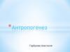 Антропогенез