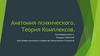 Анатомия психического. Теория комплексов