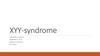 XYY-syndrome