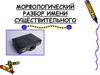 Морфологический разбор существительного