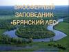 Биосферный Заповедник «брянский Лес»