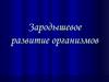 Зародышевое развитие организмов