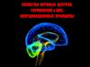 Свойства нервных центров, торможение в ЦНС, координационные принципы